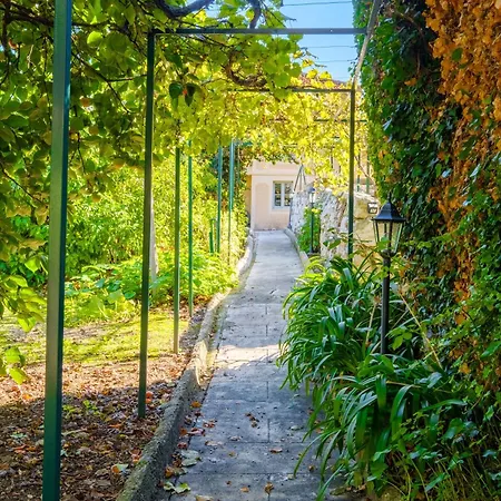 Propriete Muraccioli - Maison Avec Vue